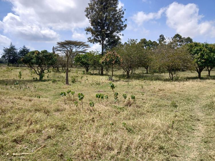 0.125 ac Land at Babito