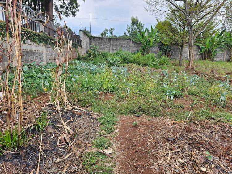 0.25 ac Land at Sigona 0.25 ac Land at Sigona