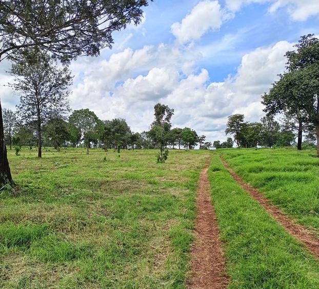 Residential Land at Juja-Gatundu Road - Aanzicht 4