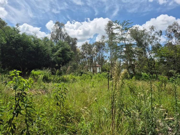 Residential Land in Karen
