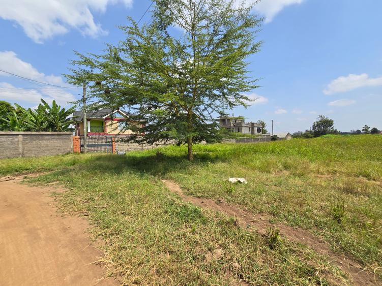 0.5 ac land at mushroom gardens
