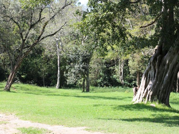 2,023 m² Land in Nanyuki