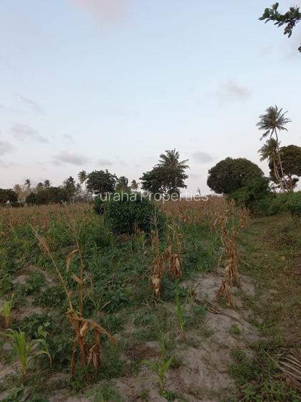 12 ac Commercial Land at Bomani Area
