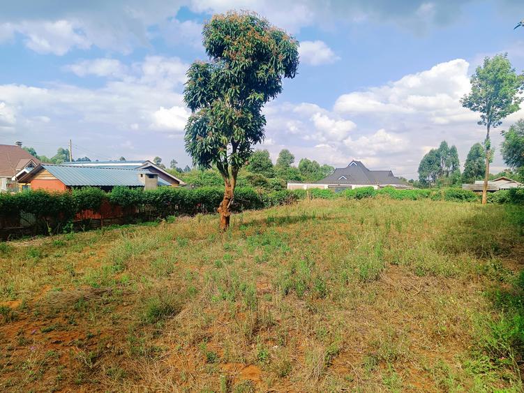 1,000 m² Residential Land at Karie