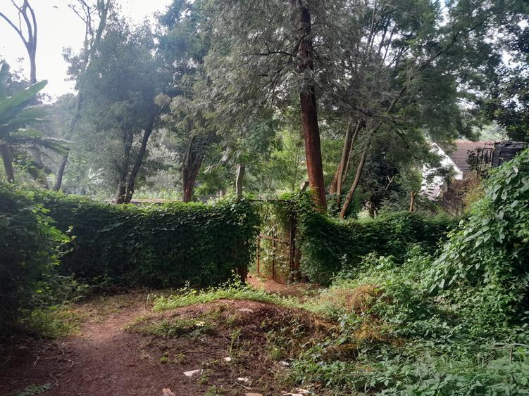 2.5 ac Land in Kitisuru