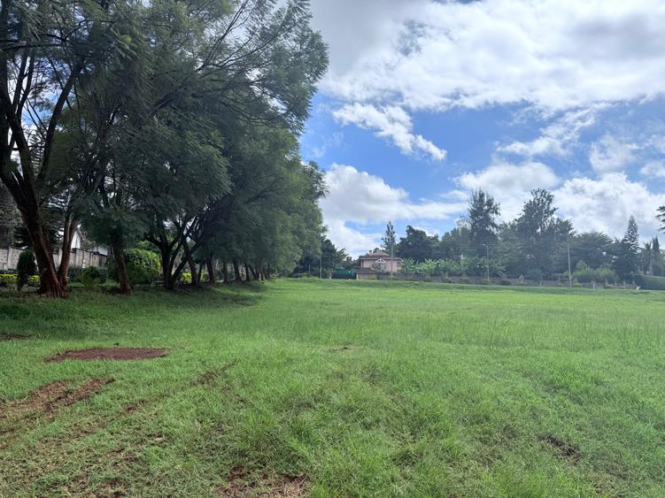 Land in Kitisuru Land in Kitisuru
