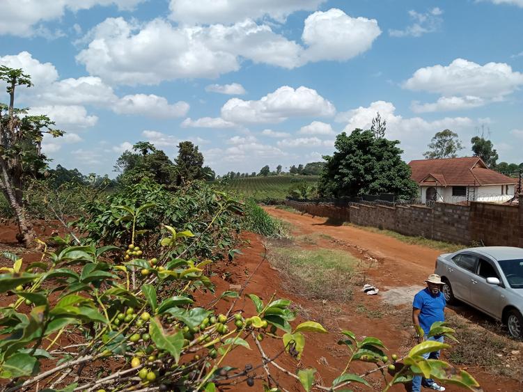 0.5 ac Residential Land at Runda Mumwe