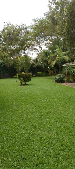 Land in Ngong Road