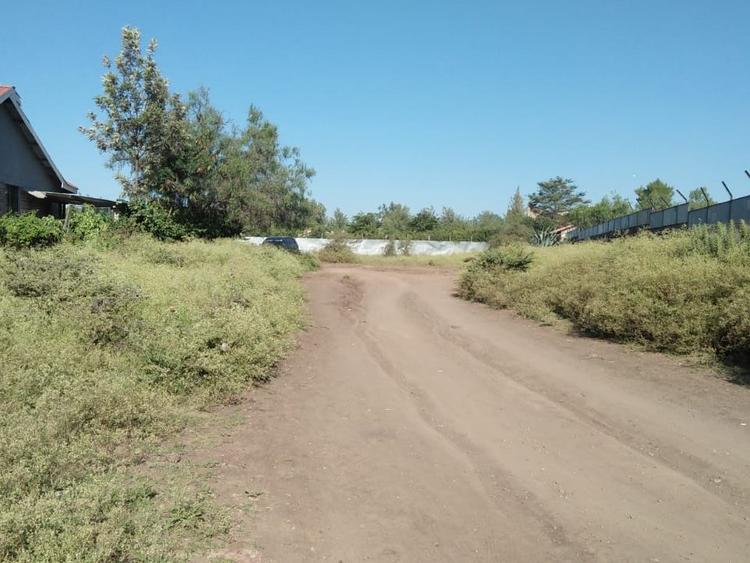 0.25 ac Commercial Land at Pinto Rd