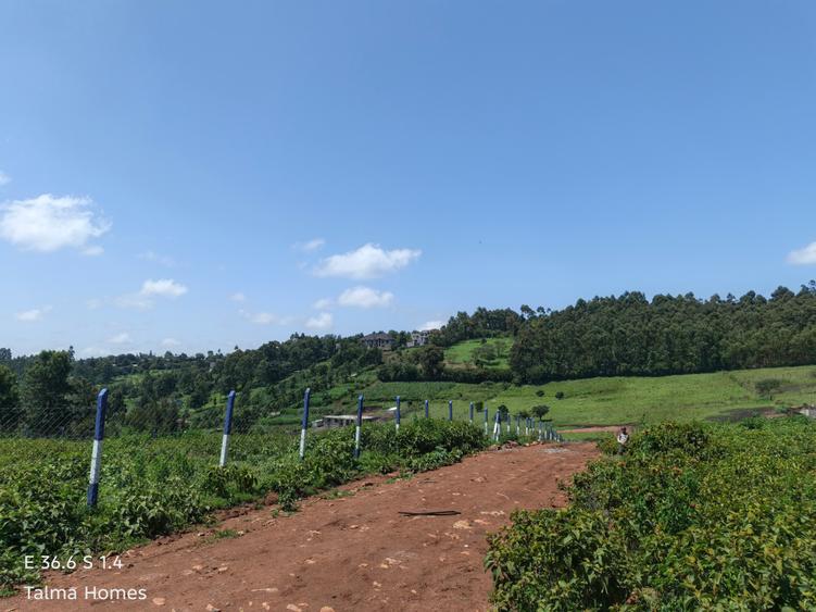 0.25 ac Land at Kibiko - View 5