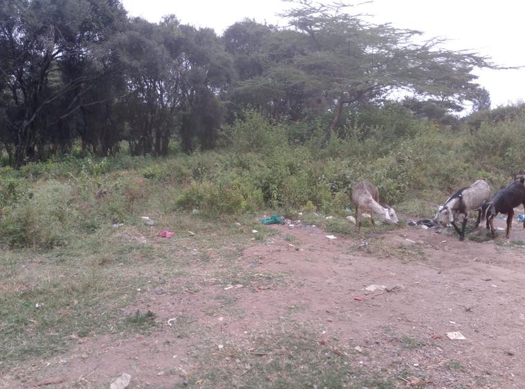 0.25 ac Residential Land at Maasai Lodge Road - Ansicht 6
