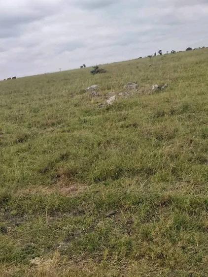 Land in Bisil - Widok 3