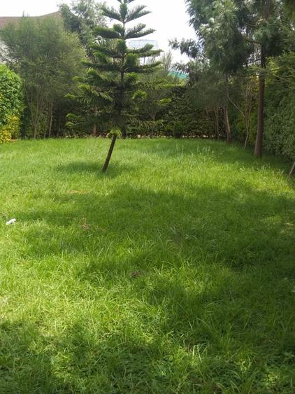 3 Bed Townhouse with En Suite in Kiambu Road - Vista 3