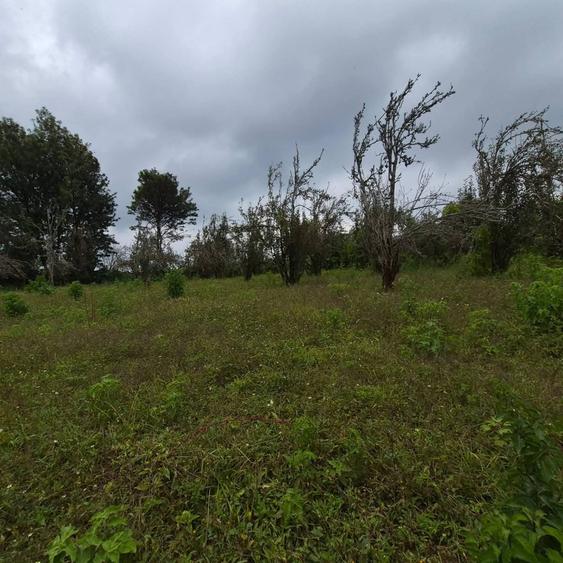 Commercial Land in Tigoni - View 6