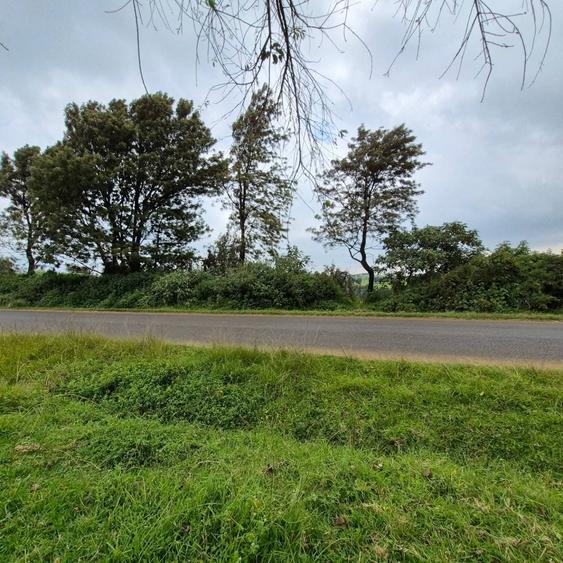 Commercial Land in Tigoni - More
