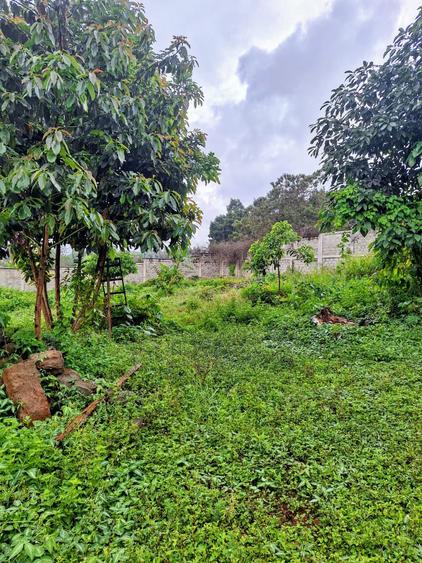 0.5 ac Residential Land at Runda - Ansicht 3