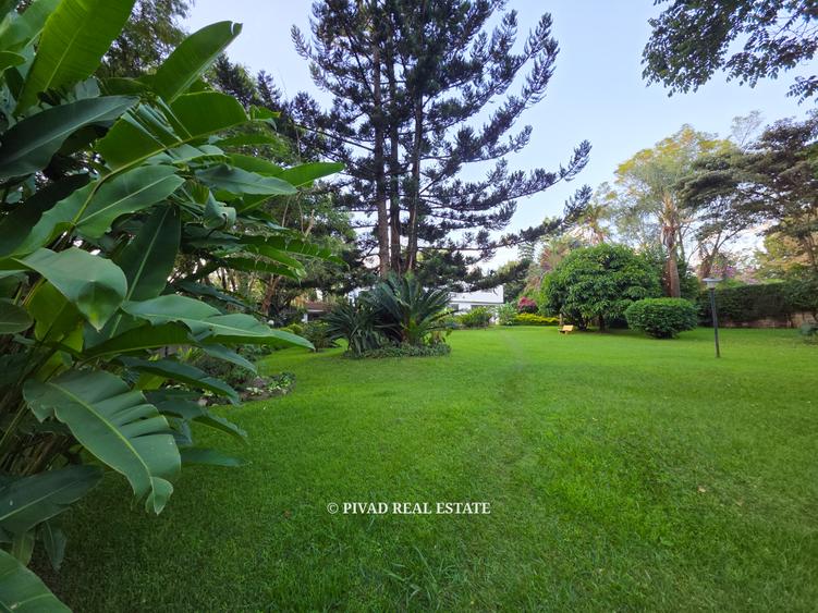 0.5 ac Land in Thigiri - Bild 2