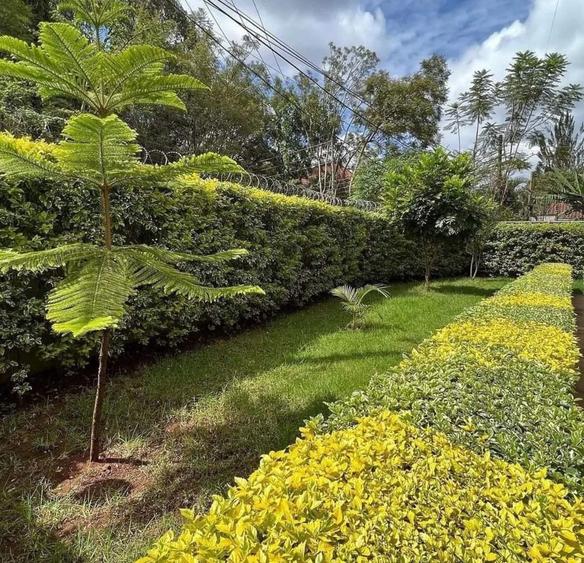 5 Bed House with En Suite in Lavington - Widok 2