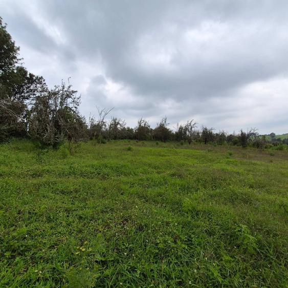 Commercial Land in Tigoni - View 2
