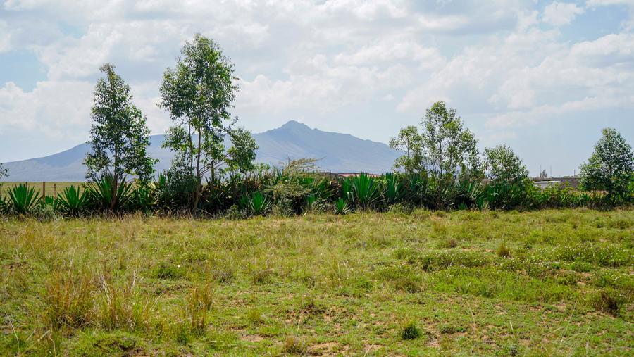 Residential Land in Naivasha - View 4