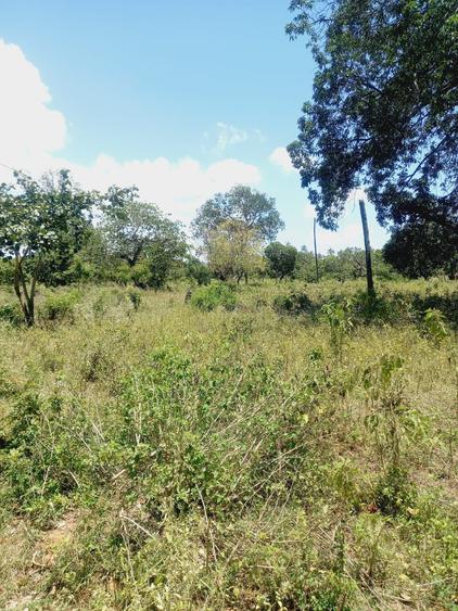 40 ac Residential Land in Kilifi - Widok 2