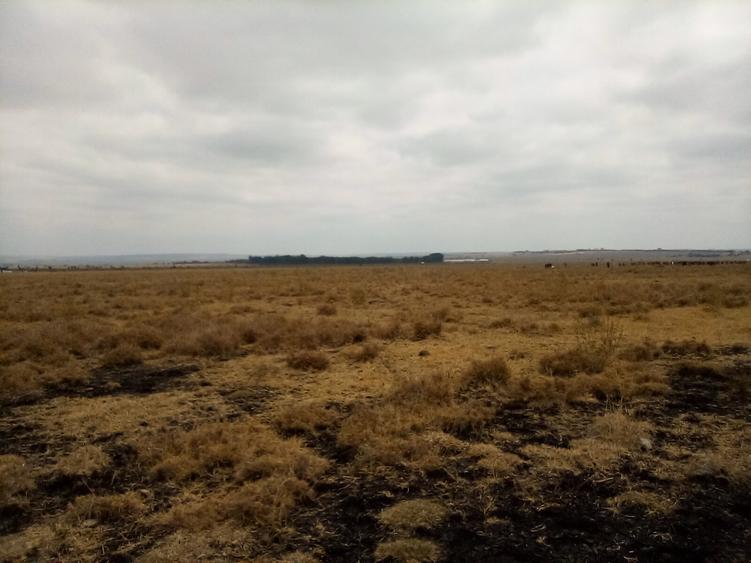 192 ac Land at Kiserian-Isinya Rd - Bild 6