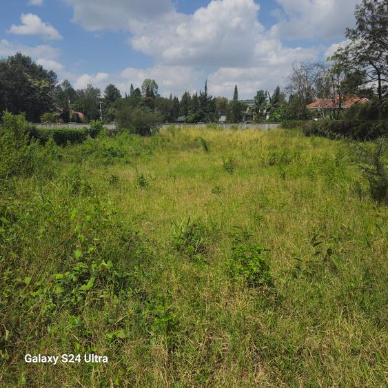 0.6 ac Land at Rundaevergreen - Ansicht 4