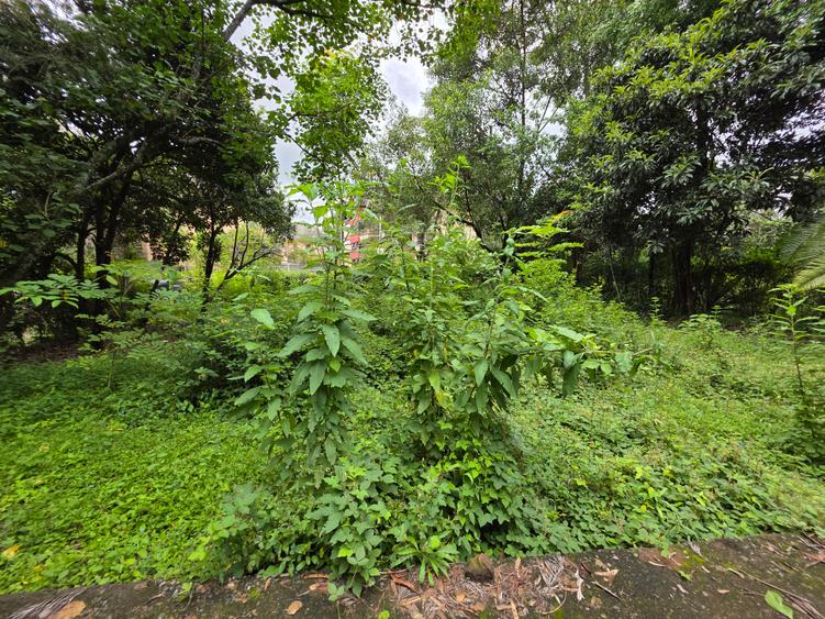 Commercial Land in Lavington - Więcej