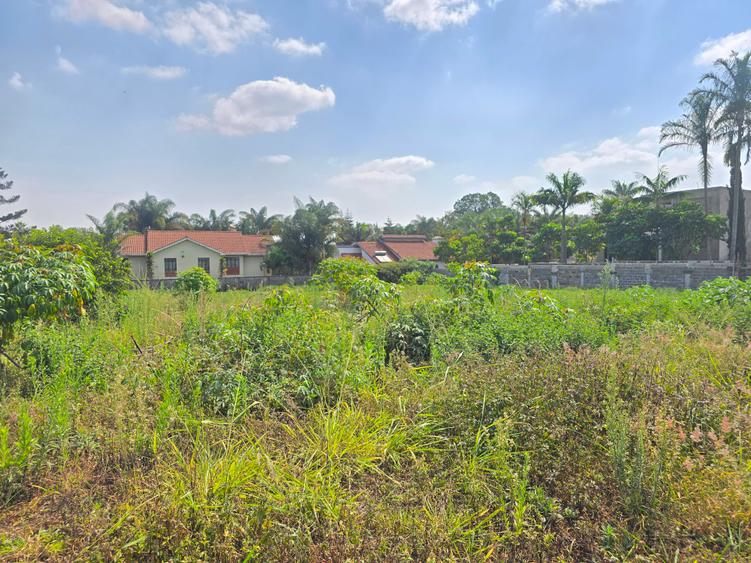 Land in Runda - View 3