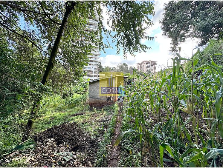 Land in Rhapta Road - Meer