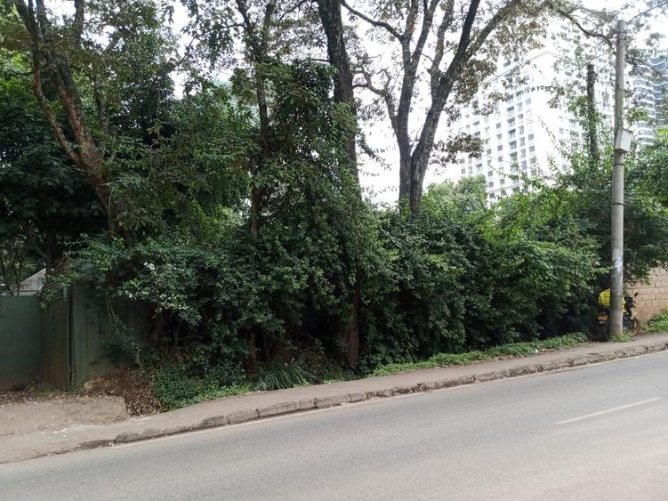 0.5 ac Land at Muthithi Road - Widok 2
