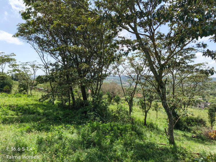 0.25 ac Land at Kibiko - View 2