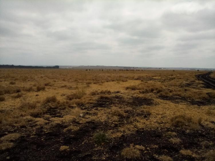 192 ac Land at Kiserian-Isinya Rd - Bild 5