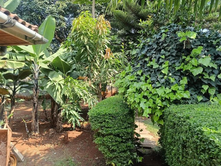 4 Bed House with En Suite at Runda - Më shumë
