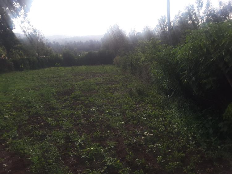 0.25 ac Land in Ngong – pohled 3