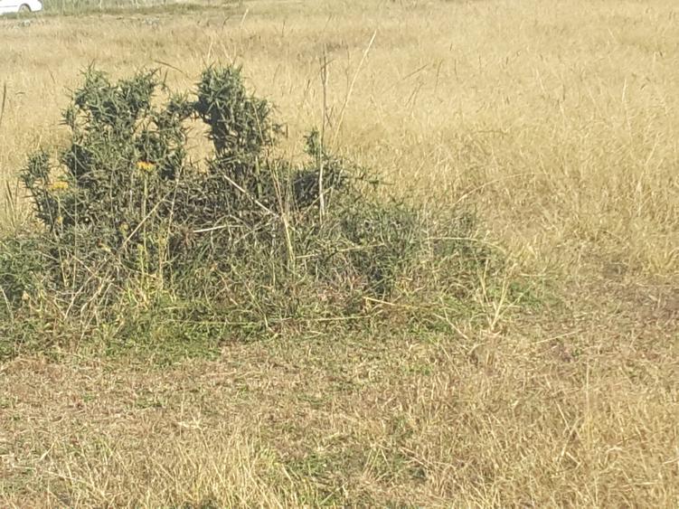 17 ac Land in Ongata Rongai - Widok 2