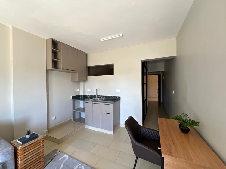 Studio Apartment with En Suite at Kirawa Road - Widok 4
