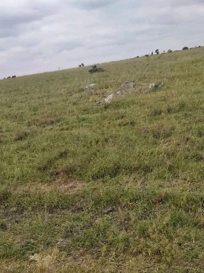 Land in Bisil - Widok 4