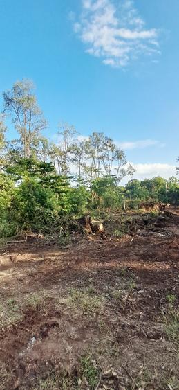 Land at Malindi Mombasa Road - Widok 4