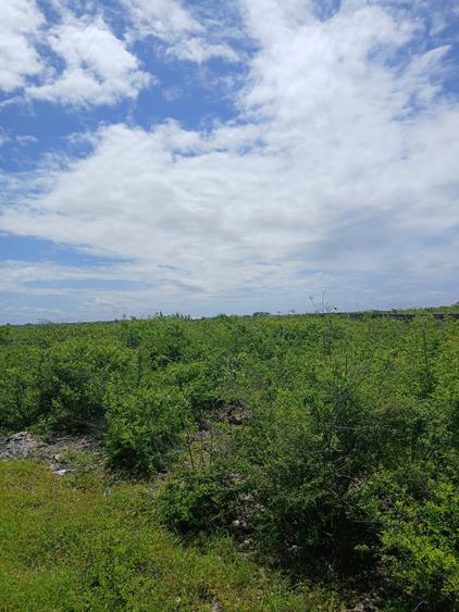 Land in Watamu - Widok 5