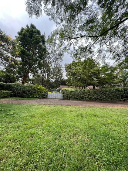 Listing 4011793 - More