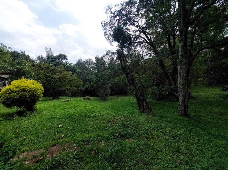 Land at Lavington - Bild 2