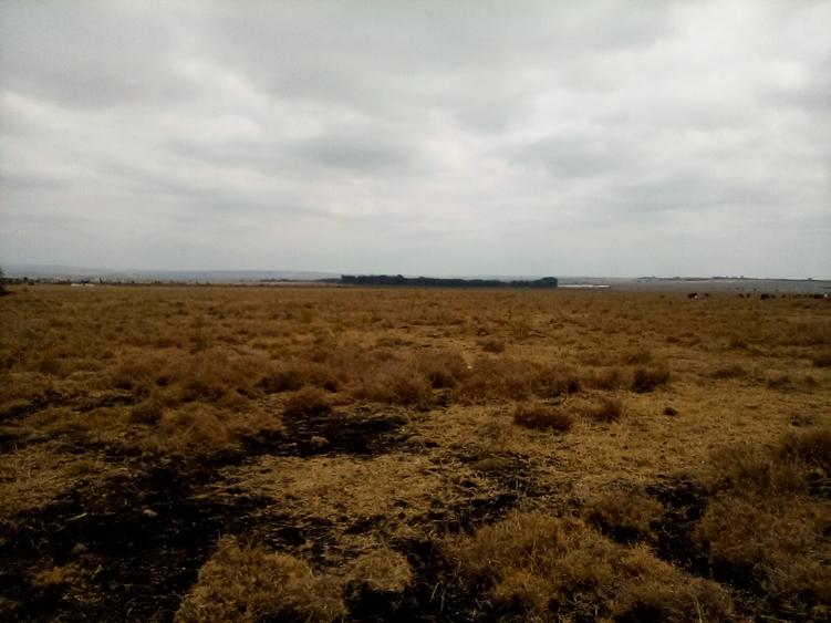 192 ac Land at Kiserian-Isinya Rd - Bild 2