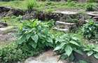 2.25 ac Commercial Land at Rongai - 13