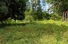Land at Mtwapa - 14