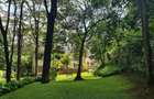 4 Bed House with En Suite in Kitisuru - 5