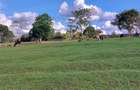 21 ac Land in Cianda - 1