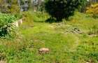 4 Bed House with En Suite in Karen - 12
