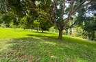 1.3 ac Residential Land at Kanamai - 5