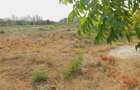 2.3 ac Land at Shanzu - 8